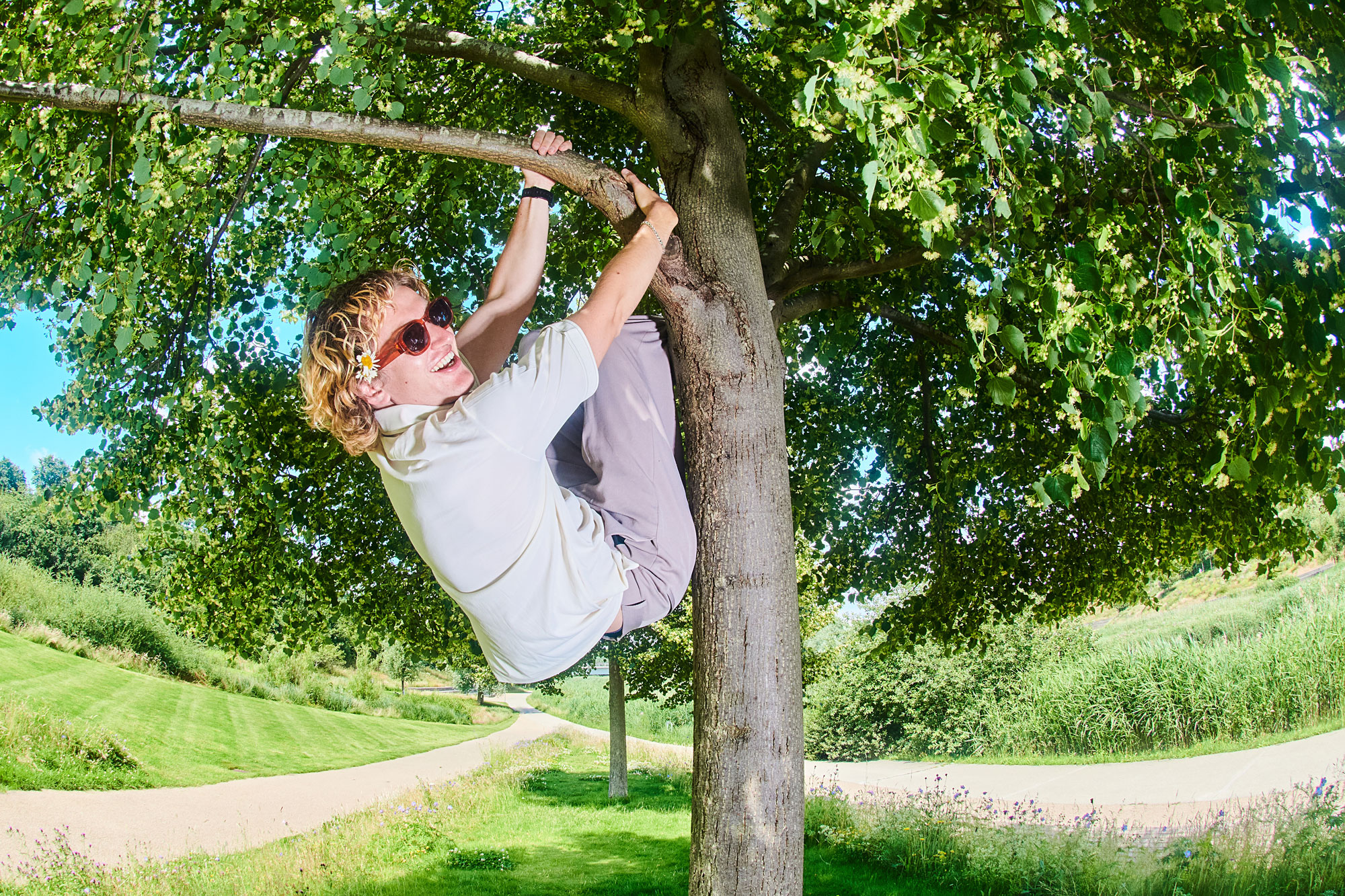 Sports Team: “What’s the worst that can happen, a bad album?”