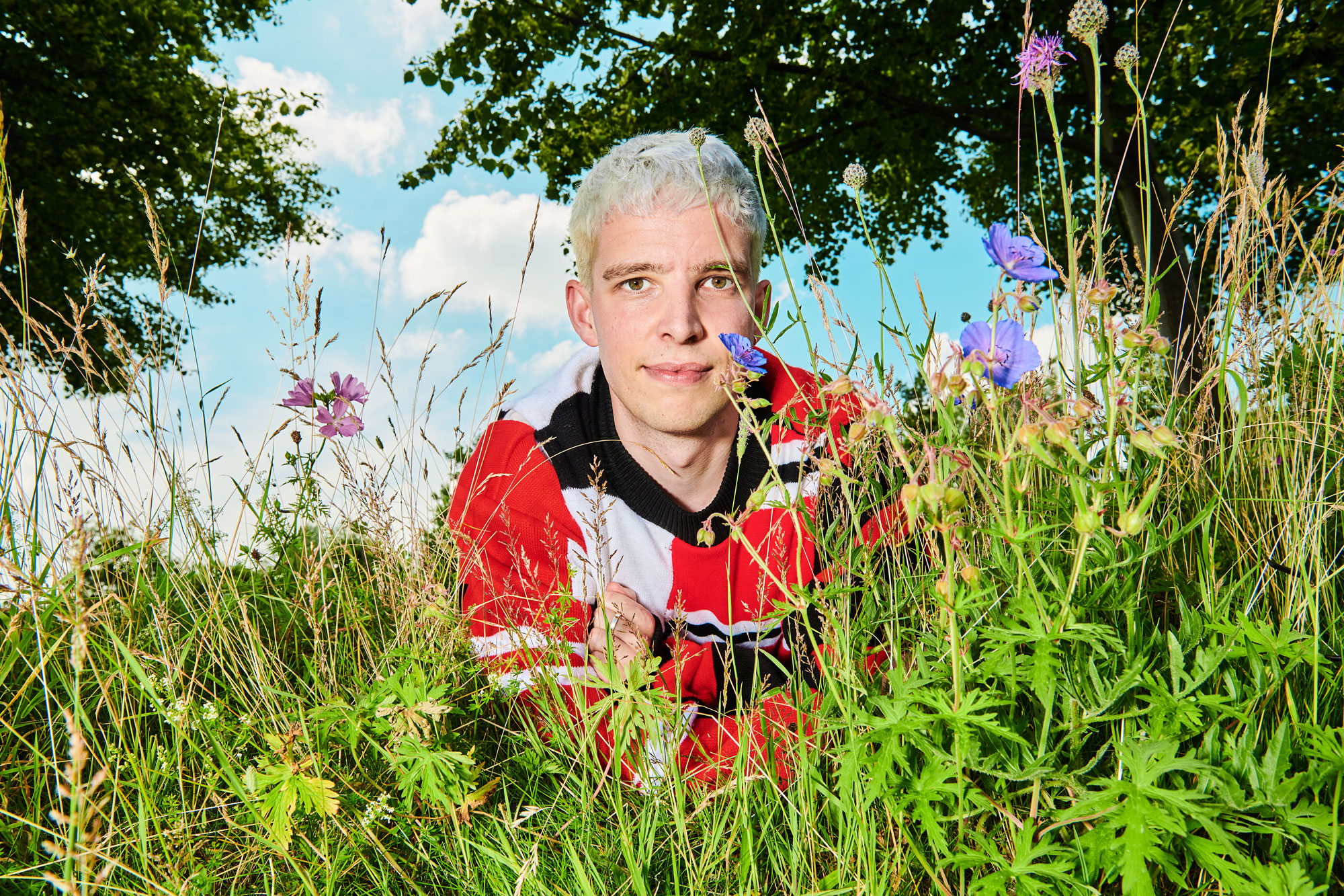 Sports Team: “What’s the worst that can happen, a bad album?”